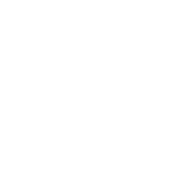 snsアイコン